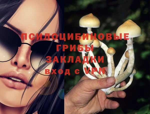 Альфа ПВП Янаул