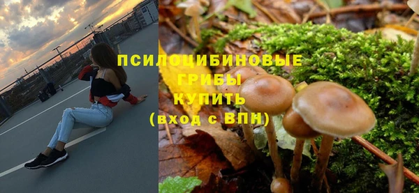 Альфа ПВП Янаул