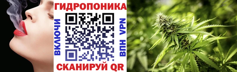 Канабис OG Kush  Купить где  Пудож 